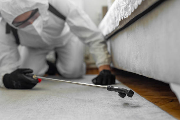 Professional Wasp Control technician working in Crooked Lake Park, FL