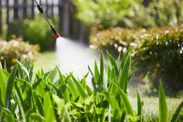 24/7 Emergency Mosquito Control experts in Crooked Lake Park, FL