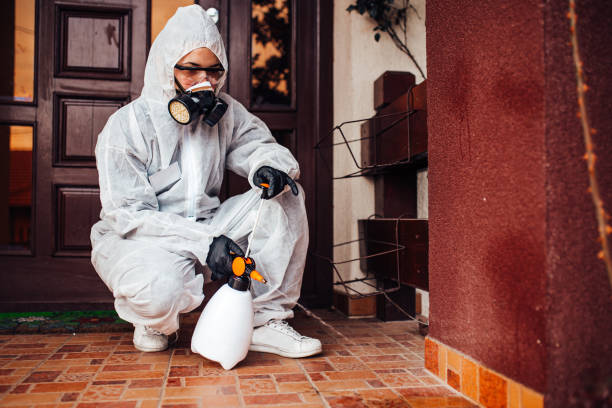 Reliable Mosquito Control contractor in Crooked Lake Park, FL by Nex Pest Control