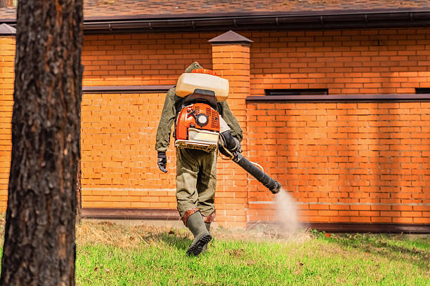 Trusted Termite Control service in Crooked Lake Park, FL - Nex Pest Control
